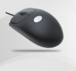 Logitech OEM RX250 BLACK combo
